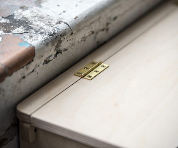 Everything Goes - Storage Steps - brass hinge detail against birch ply